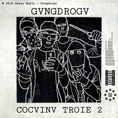 02 - Cocvinv Troie 2 - Intro (prod. Cosmin 13)