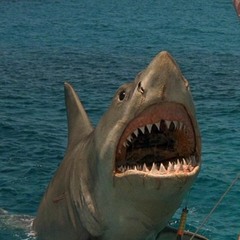 a bigger boat (feat. Romeo Homeless, Lil Biscuit, Bucci) prod. Sauron (incomplete)