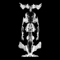 Vofa - PI05  [π05] // Snippets