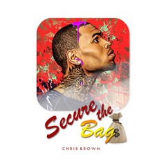 Chris Brown - Secure the Bag (Snippet)