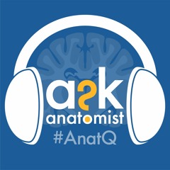 (Season 1) Episode 1: Thunderstorm Asthma and Respiration