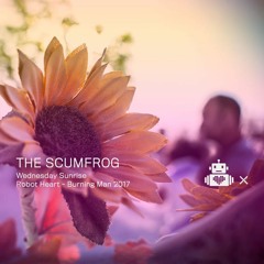 The Scumfrog - Robot Heart - 10 Year Anniversary - Burning Man 2017