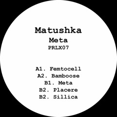 PRLX07 - A1. Matushka - Femtocell
