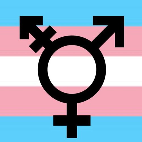 Stream Statistics New Zealand on collecting gender nonbinary data