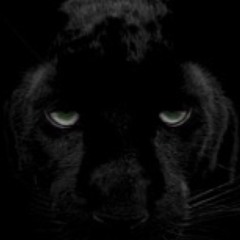 BLACK PANTHER (Mickey OD X Godlee X Loso D.Nice)