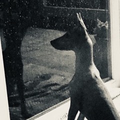 No Name