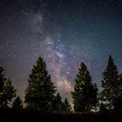 Ego Death in Hampton Park