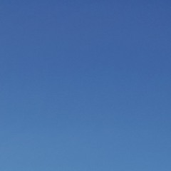 orange dream (with claire dyer)