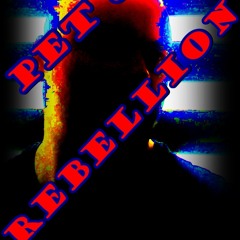 PET 8 RIK - Rebellion (electronic music|2018)