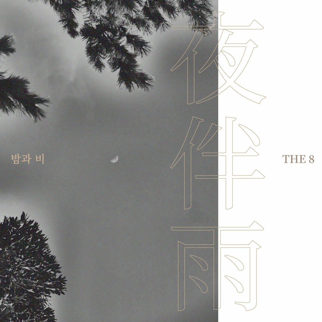 Stream SEVENTEEN Mixtape Vol.16 - '夜伴雨(밤과 비)' (THE8) by