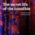 Artwork for The secret life of the inaudible | Christina Kubisch & Annea Lockwood | CD1