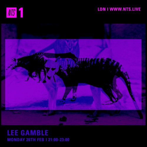 Lee Gamble - NTS RADIO (FEB 18')