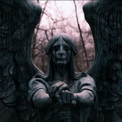 I Don't Wanna Be The One