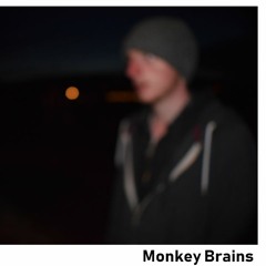 Monkey Brains Demo 1