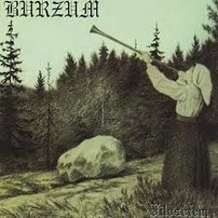 Burzum - Dunkelhiet (My Cover)