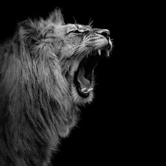 Deep House Mix 001