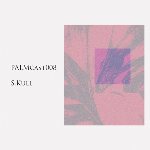 PALMcast008 - S.Kull