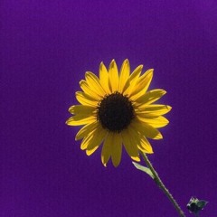 loverboyb - a love song by a very insecure boy (misunderstand)