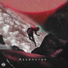 Beautiful Perception