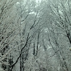 white cover feat. really good salt