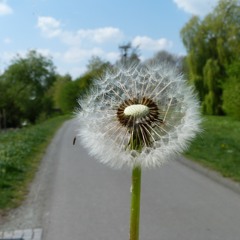 Wednesday Plays #34 A