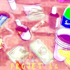 Projet 44