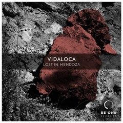 Vidaloca - Pump It ( Original Mix )
