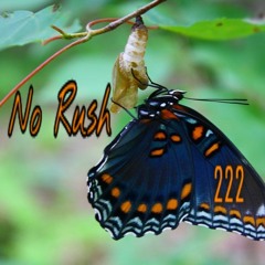 No Rush