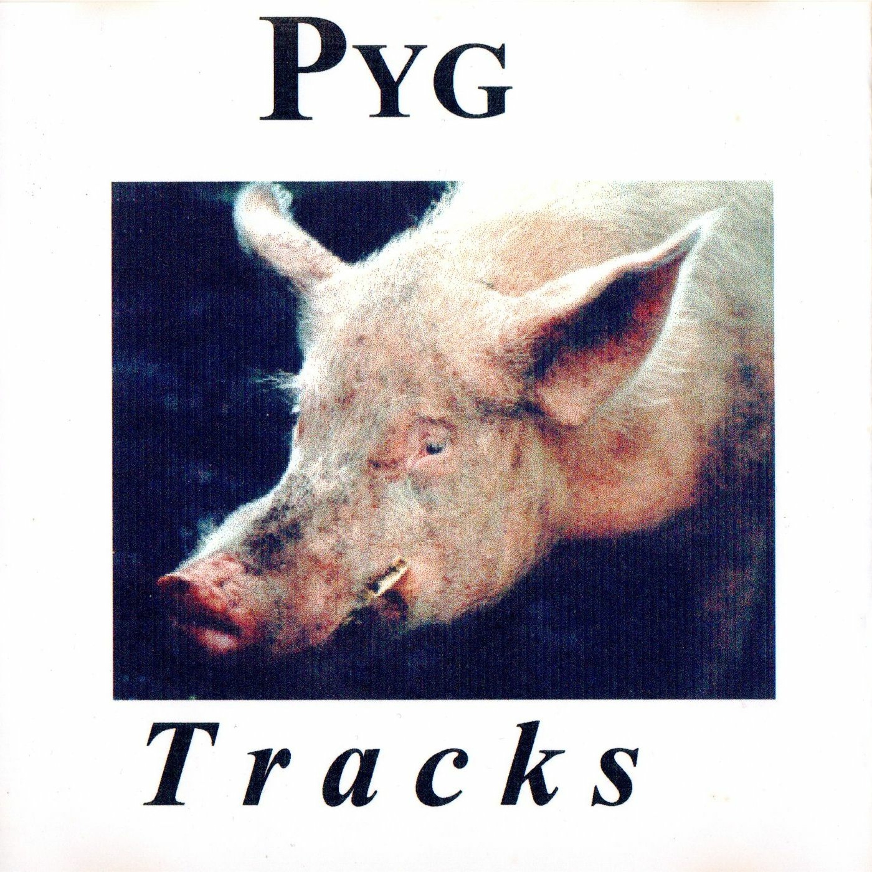 Pyg: Falling episode artwork