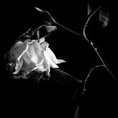 The Story Of Sandra Dulley (Prod. by Kid Ocean)