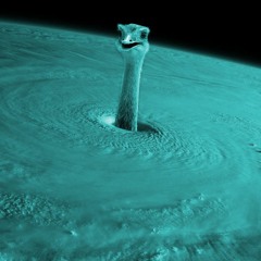 A Song For An Ostrich - Piano Improvisation