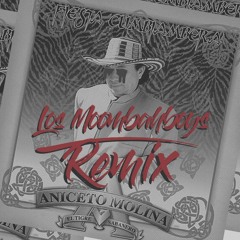 Fiesta Cumbiambera (Los Moombahboys Remix)