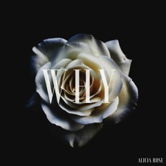 Why - Alicia Rose