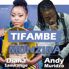 Diana samkange & Andy Muridzo - Tifambe Munzira