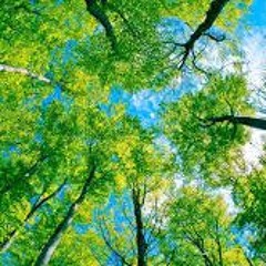 Fantastic (Jacked Beat)