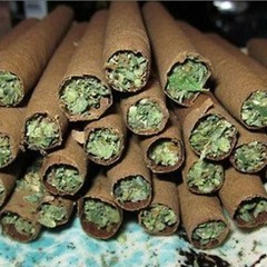 CORNDOG AND SLAP THE PAPER BOY - LETS BUY SOME BLUNTS