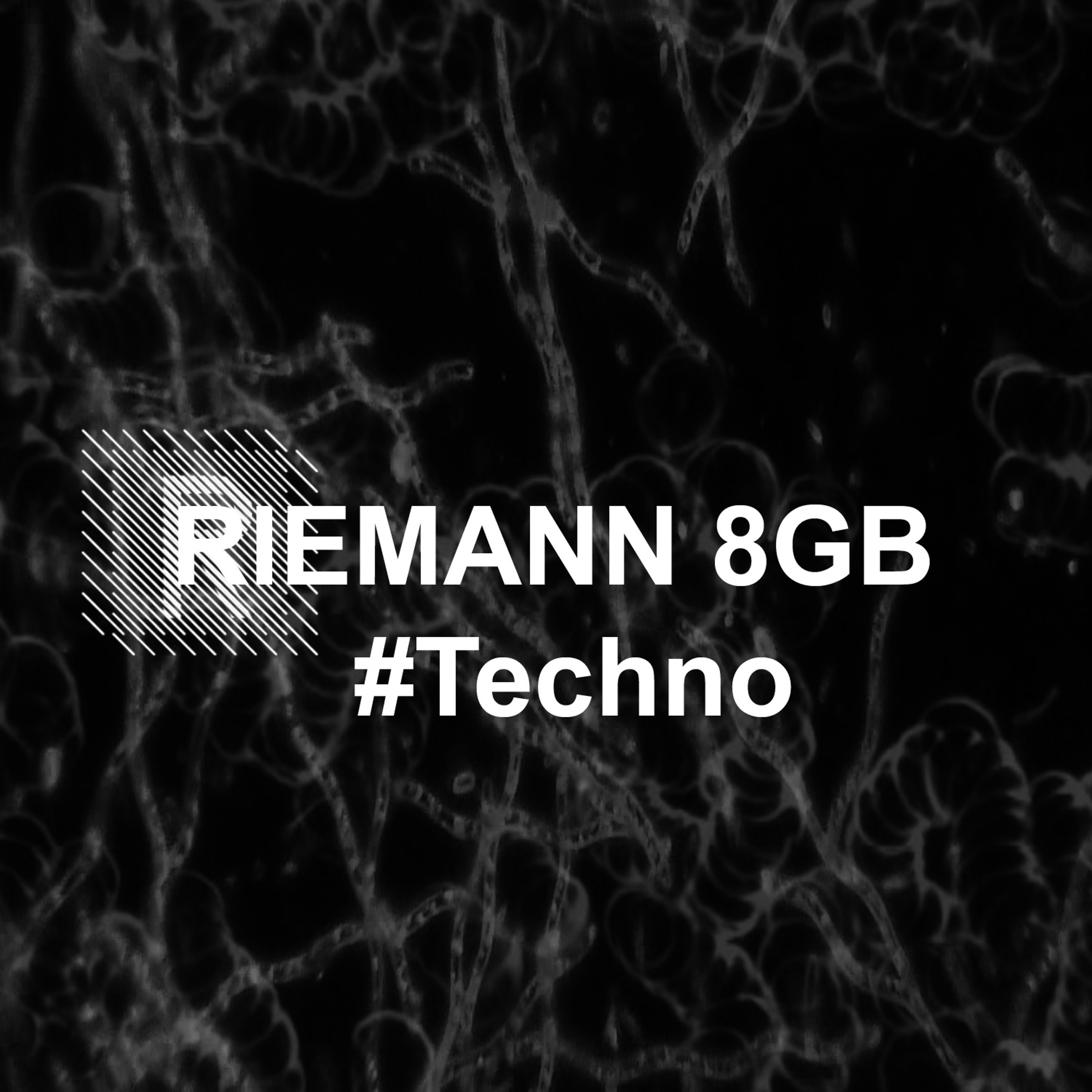 Riemann Kollektion