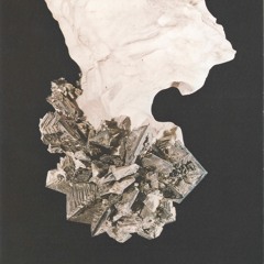 ≈≈ Refuge ≈≈