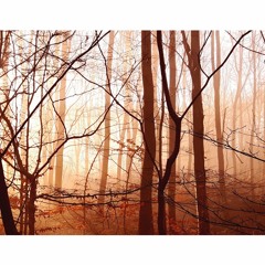 Rime Trails - Sanctum I