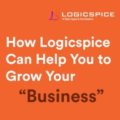 How Logicspice Can Help You to Grow Your Business