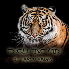 Exclusive Mix Dj Tarun Yadav