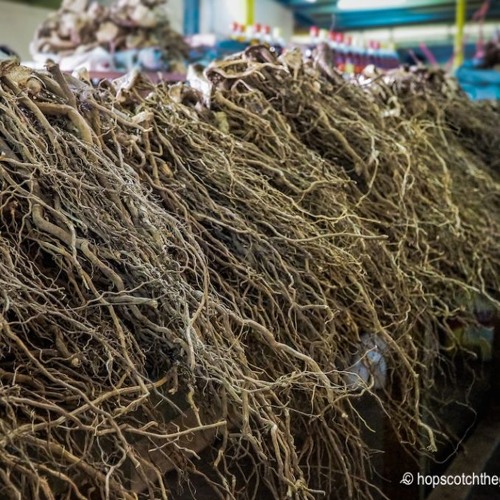 Yali ni Dina - Malumu Ni Tobu