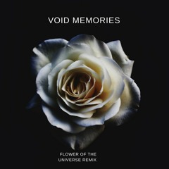 Sade - Flower Of The Universe (VOID MEMORIES Remix)
