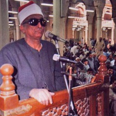 الشيخ محمد عبد العزيز حصّان من سورة يوسف