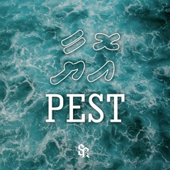 Oyaa - Pest