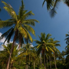 GLOBEDATA - DECSNOW (unreleased)