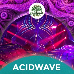 ACIDWAVE @ TREEBAL - SPACEHALL 03.02.2018