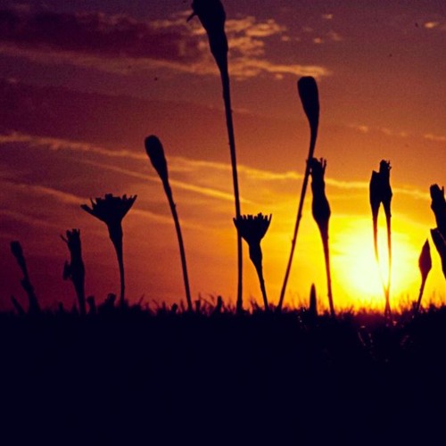 Don’t Back Down Again