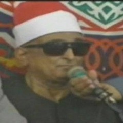 الشيخ محمد عبد العزيز حصّان من سورة الروم