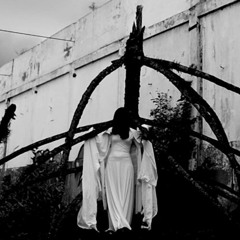 Cavaleiro Da Triste Figura